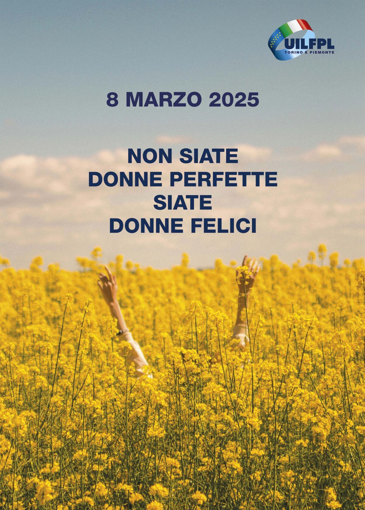 mimose in campo